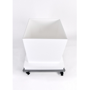 新物体认知实验视频分析系统