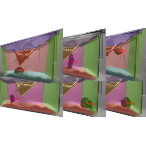 Labmaze动物精细行为量化系统