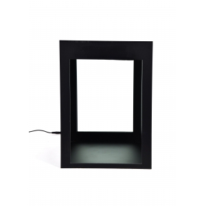 悬尾实验视频分析系统